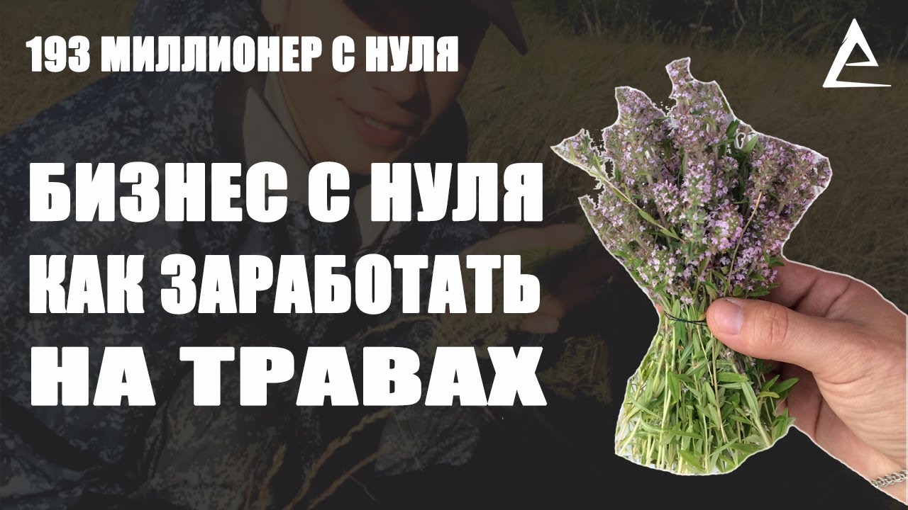 Бизнес с нуля на травах, Как заработать на травах, Иван чай, Чебрец, Тимьян, Душица, Зверобой