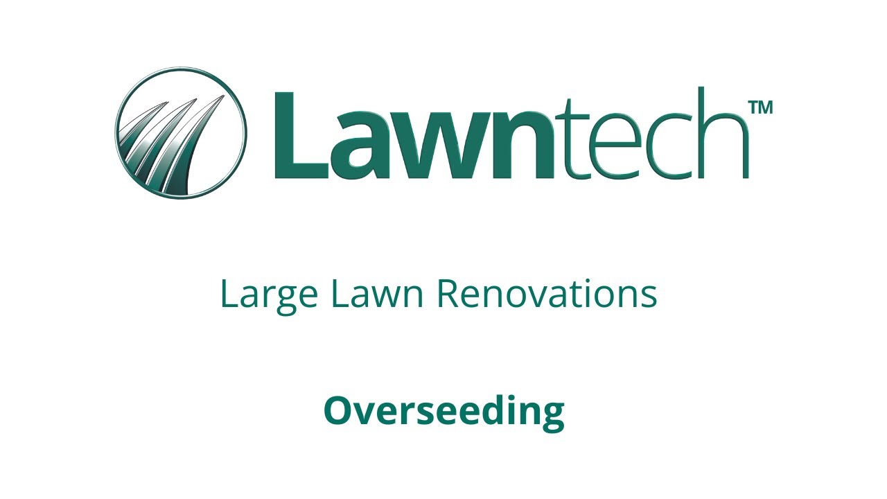 Lawntech  - Large Lawn Overseeding