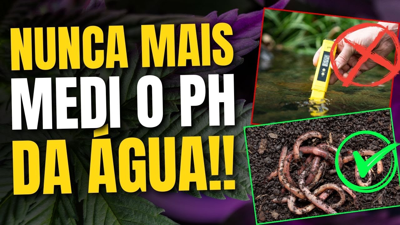 Como USAR CORRETAMENTE o H&Uacute;MUS de MINHOCA?