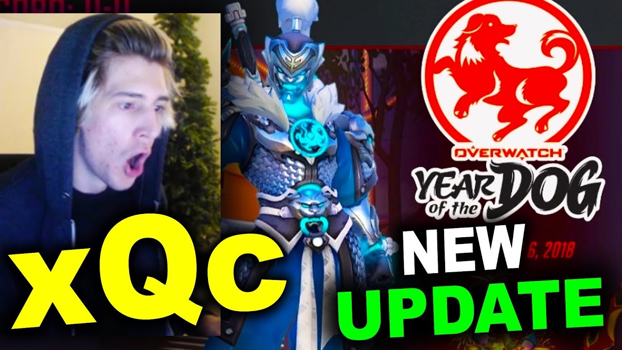 xQc Checks out the NEW YEAR of the DOG UPDATE!