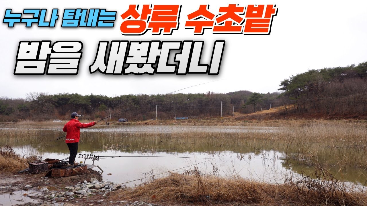 모두 탐내는 상류 빡빡한 수초밭 날새서 1박2일