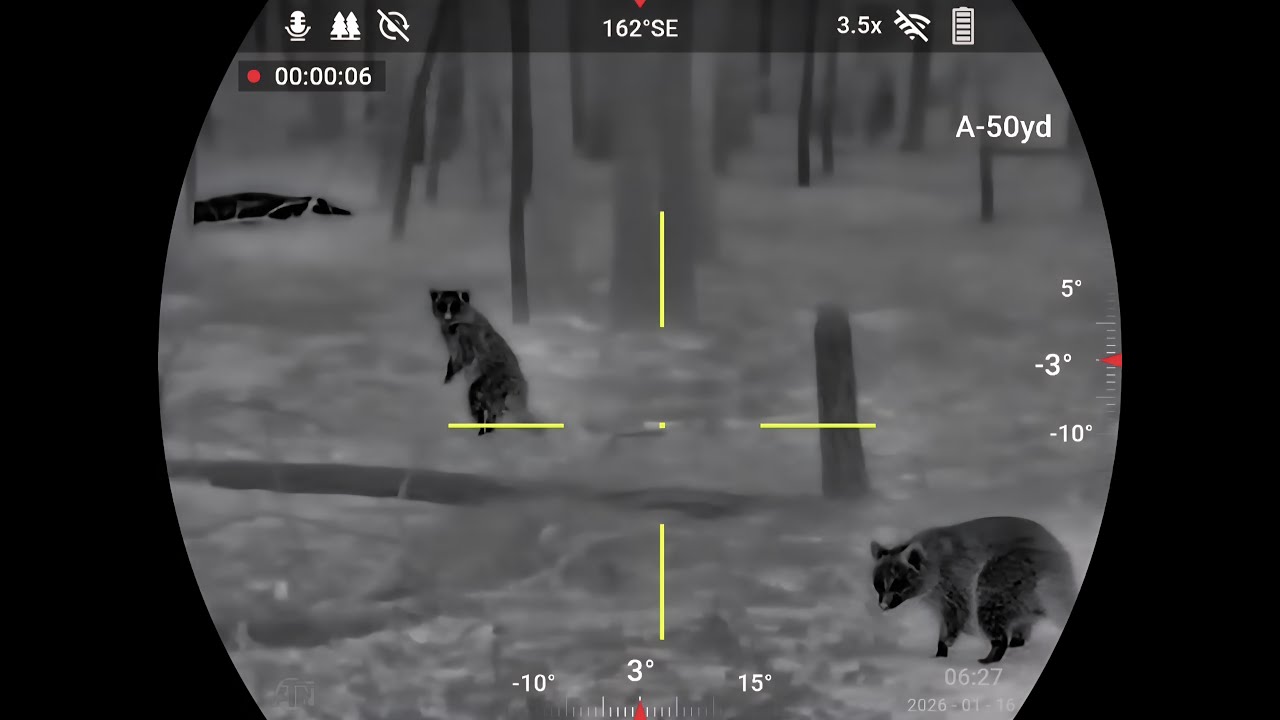 ATN ThOR 6 Mini 384 | Настоящая ночная охота на кабана с тепловизором