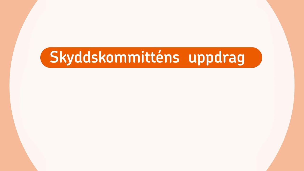 Skyddskommitténs uppdrag
