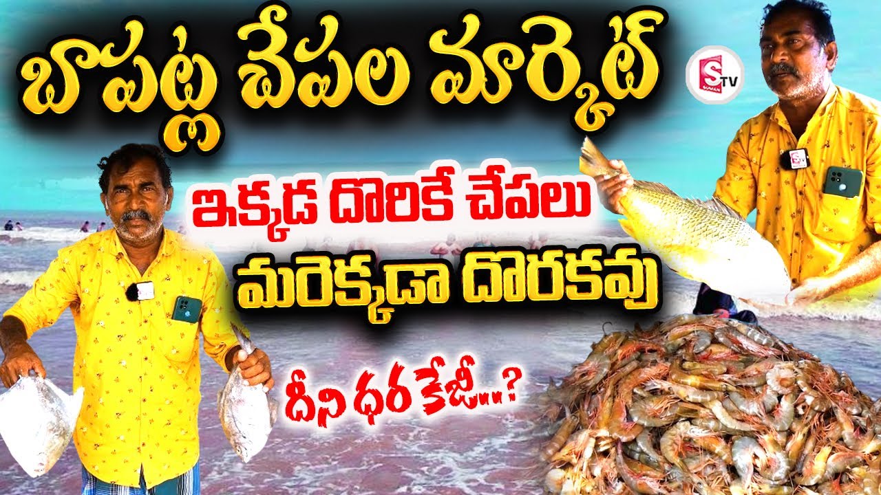 Rare Fish at Bapatla Beach | Bapatla Fish Market | Best Fishes @SumanTV Bapatla
