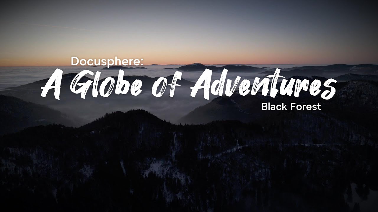 Frozen Black Forest Above the Clouds – Cinematic Drone Footage | Docusphere