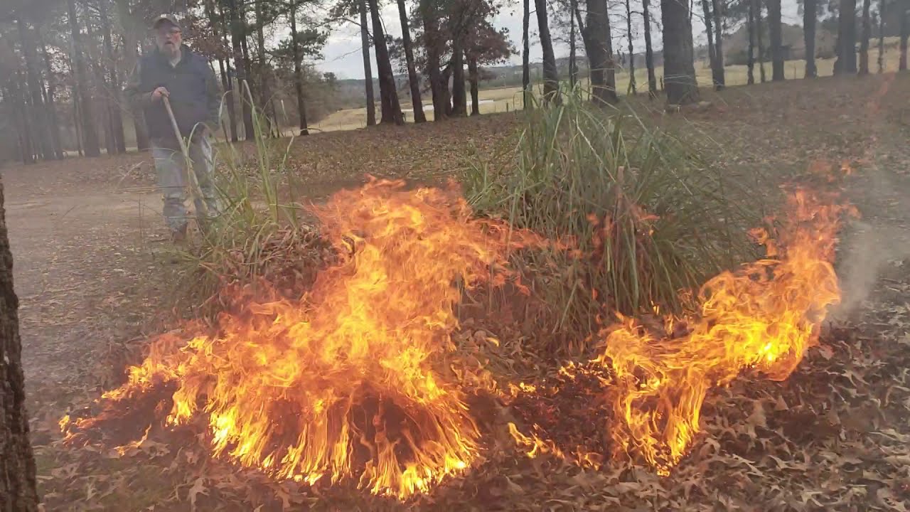 Burning Stuff 733: Controlled Burn 2