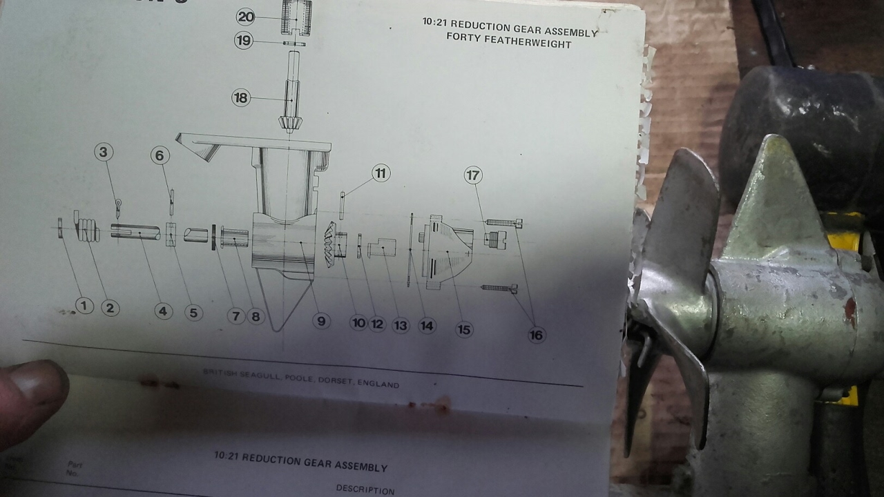 Gearbox dismantle seagull outboard featherweight 40plus