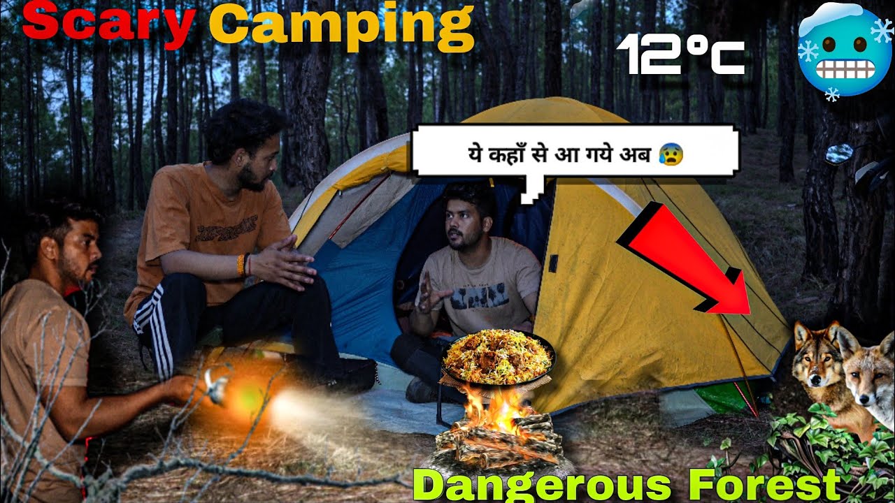 Camping in a Dark and Dangerous Forest &ndash; We Heard Strange Noises All Night #vlog