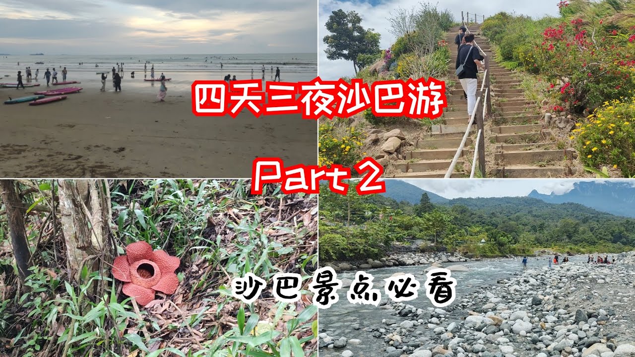 四天三夜沙巴游 (Part 2) Sosodikon Hill x 大王花惊艳 x 吊桥 x 河景营地 x 生态保护区