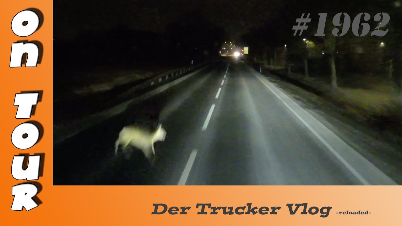 Schrecksekunde | Vlog #1962