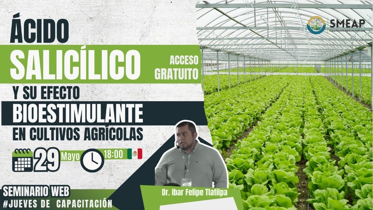 Ácido Salcílico y su Efecto Bioestimulante