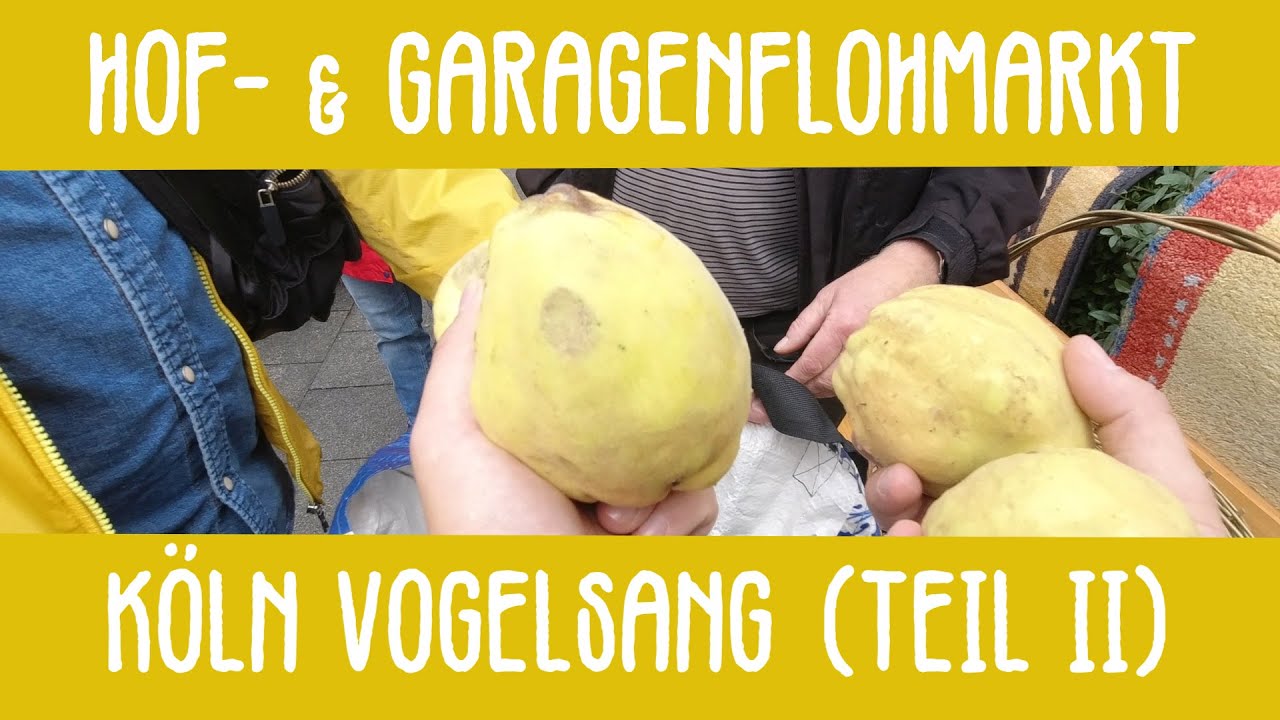TrödelVlog #2 Quitten, wir brauchen Quitten! - Hoftrödelmarkt in Köln Vogelsang  (Teil 2)