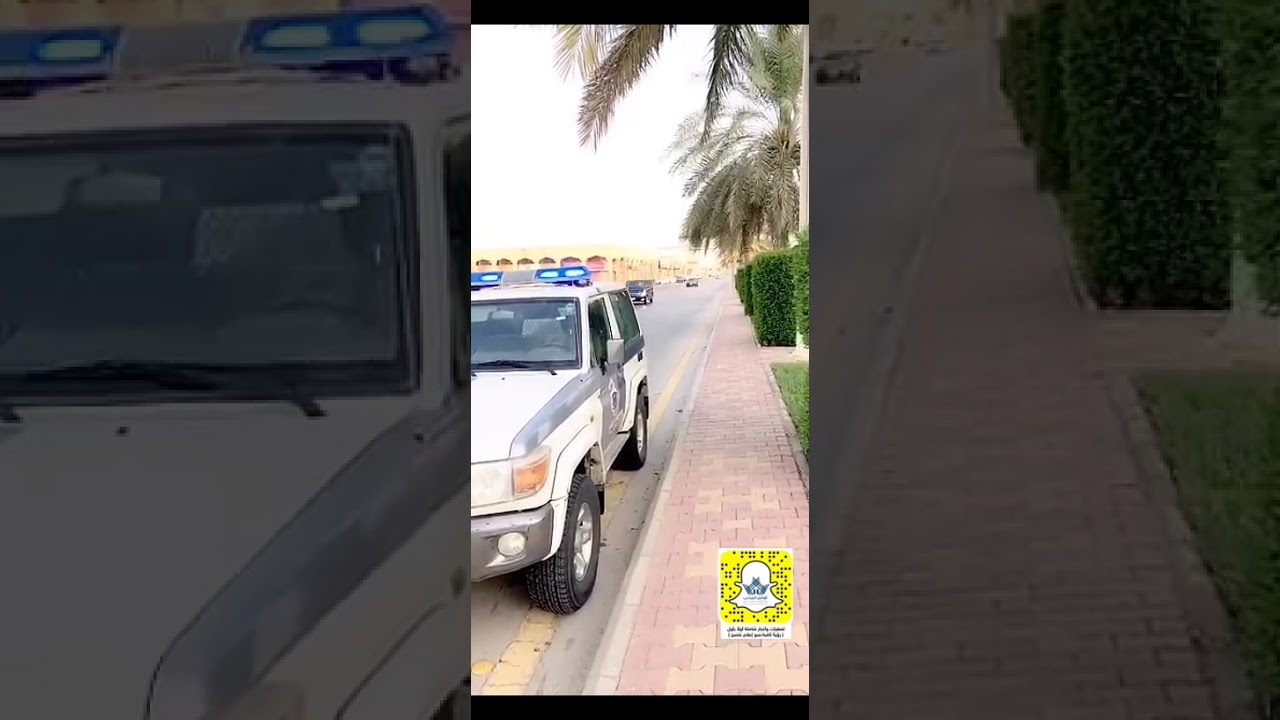 بباقات الورد