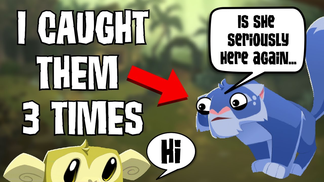 [Animal Jam] I Caught This Scammer THREE TIMES!