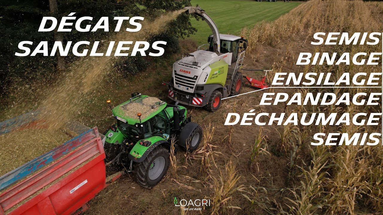 🐗🤬CATASTROPHE les dégâts...ON ENSILE chez Théo | SEMIS-BINAGE-ENSILAGE-EPANDAGE-DECHAUMAGE-SEMIS ! 🤘
