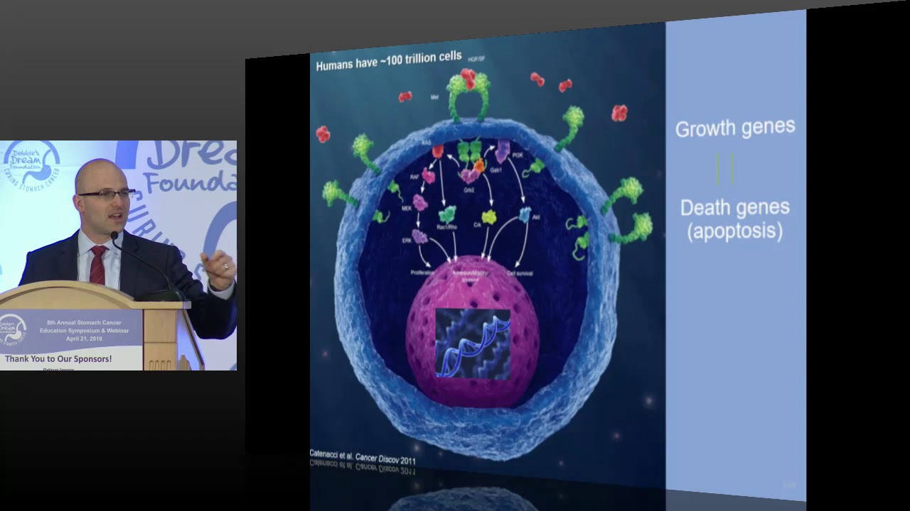 Chemotherapy, Targeted Therapy, and Immunotherapy