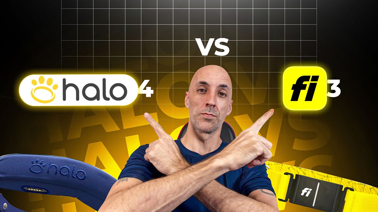 Halo Collar 4 против Fi Series 3: какой из них ДЕЙСТВИТЕЛЬНО работает лучше?