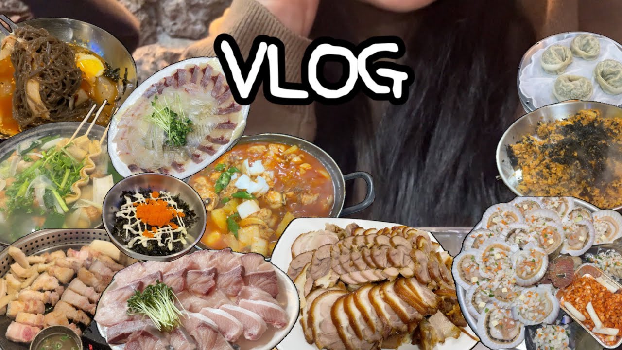 [vlog] 일상브이로그ㅣ알콜로 채워지는 일상 (태종대 조개구이, 남포동 가야밀면, 연산동 새벽숯불가든 흑돼지, 모듬회, 대방어, 백골뱅이, 시장 닭도리탕 족발) MUK BANG 