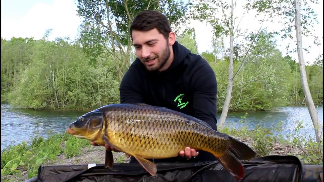 Pêche à la carpe en gravière sauvage