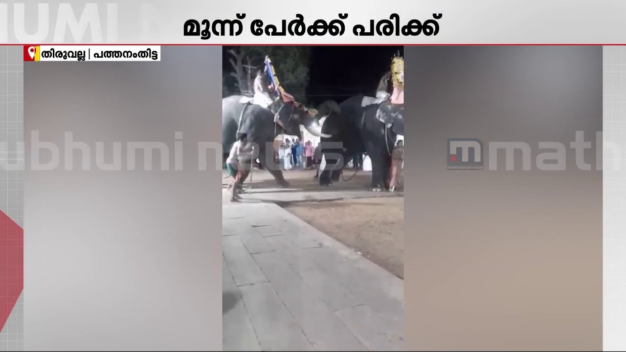 തിരുവല്ല ശ്രീവല്ലഭ ക്ഷേത്ര ഉത്സവത്തിനിടെ ആനയിടഞ്ഞു; രണ്ട് കീഴ്ശാന്തിമാർക്ക് പരിക്ക്