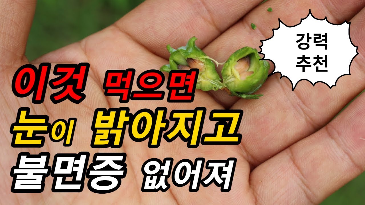 이것을 복용하면 눈이 밝아지고 불면증이 개선되는 효과가 있습니다[약초방송]