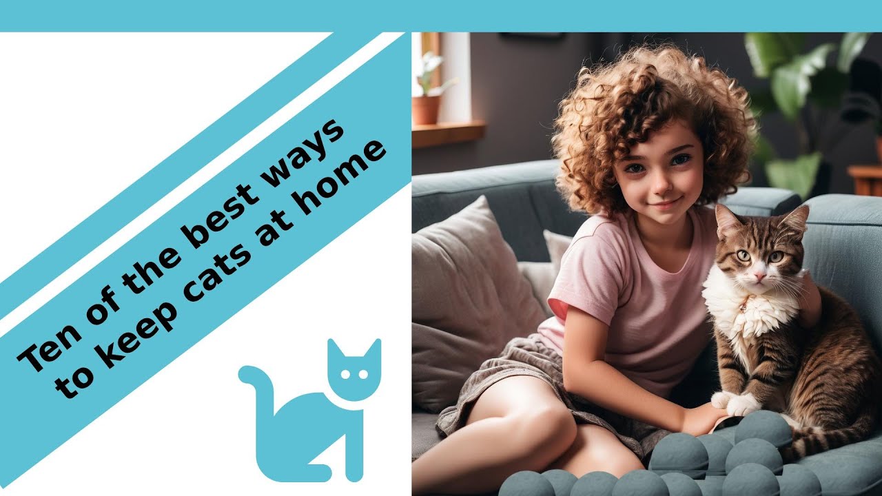 Ten of the best tips to keep cats at home.