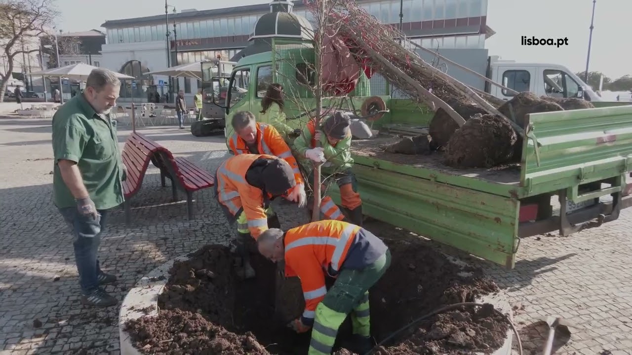 Autarquia requalifica toda a envolvente ao Cais do Sodré