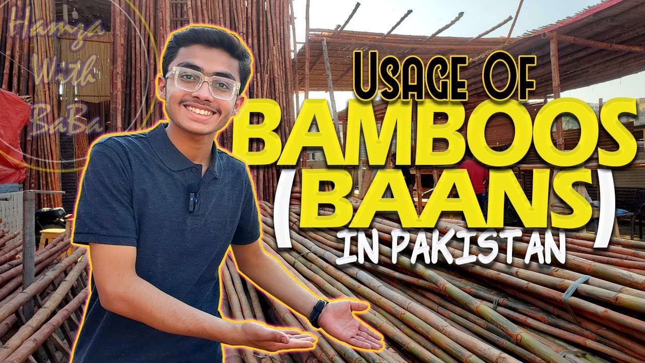 Usage of Bamboos in Pakistan | Baans Making | bamboo in pakistan | bamboo price in karachi