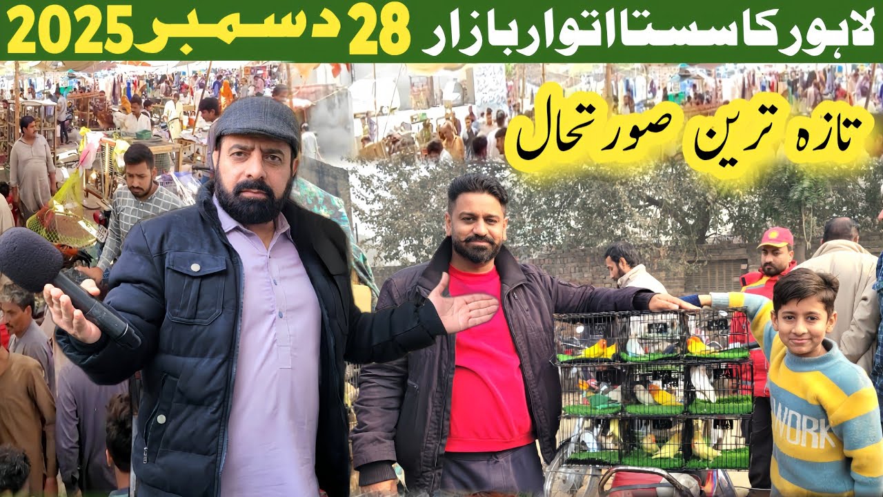 Sunday birds market latest update | Nadia Ghee Mill lahore 