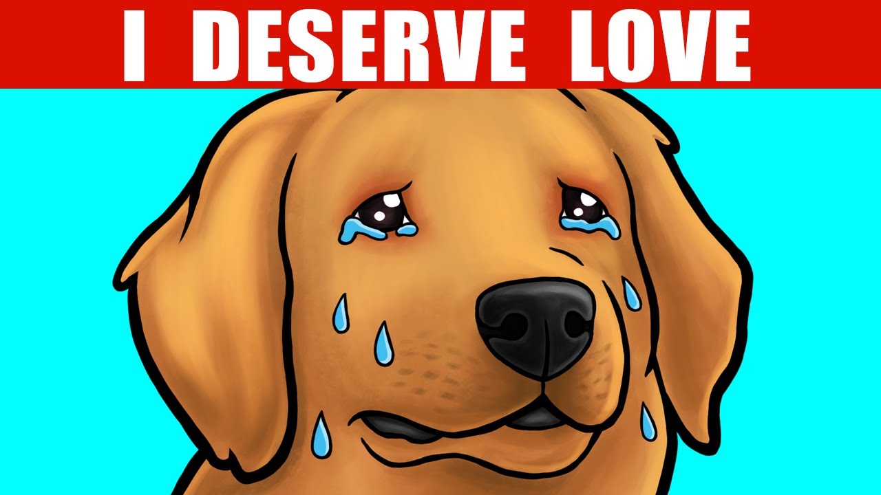 15 Ways to Say 'I Love You' in Dog Language