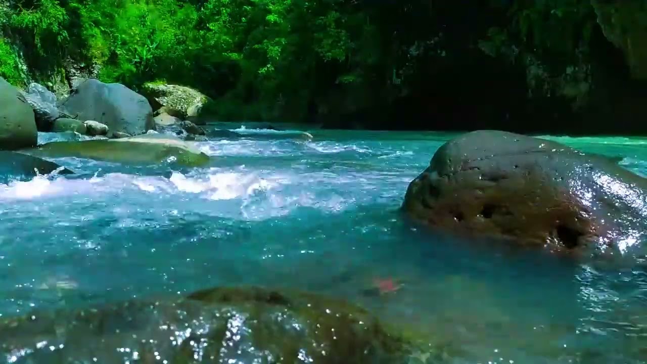 Tranquil River Ambience – Peaceful Nature Sounds for Calm and Deep Sleep