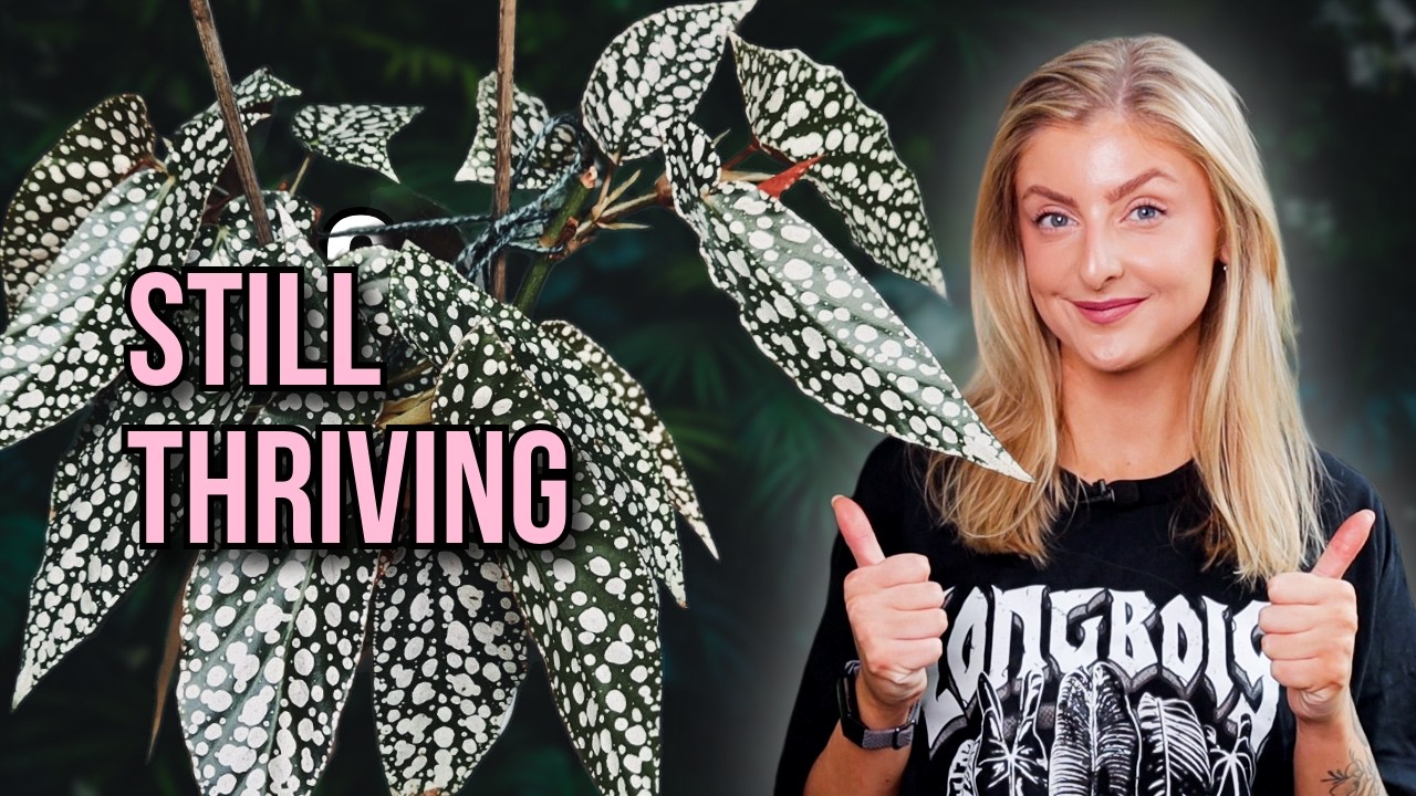 These Plants Are Thriving In Winter!