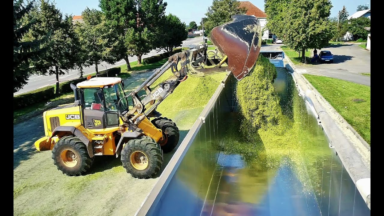 Big Silage Smržice 2020 - Silage depot 60km away - Překladiště. UMC Metal Cover