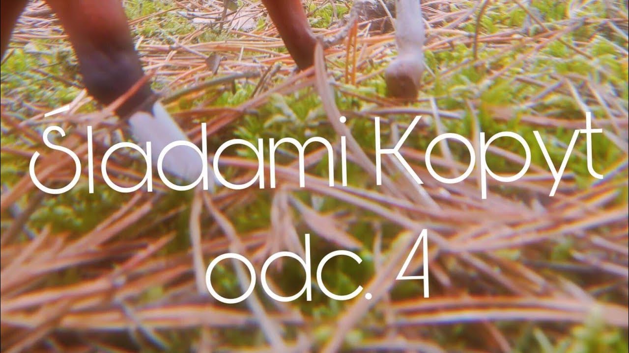 Śladami Kopyt | odc 4