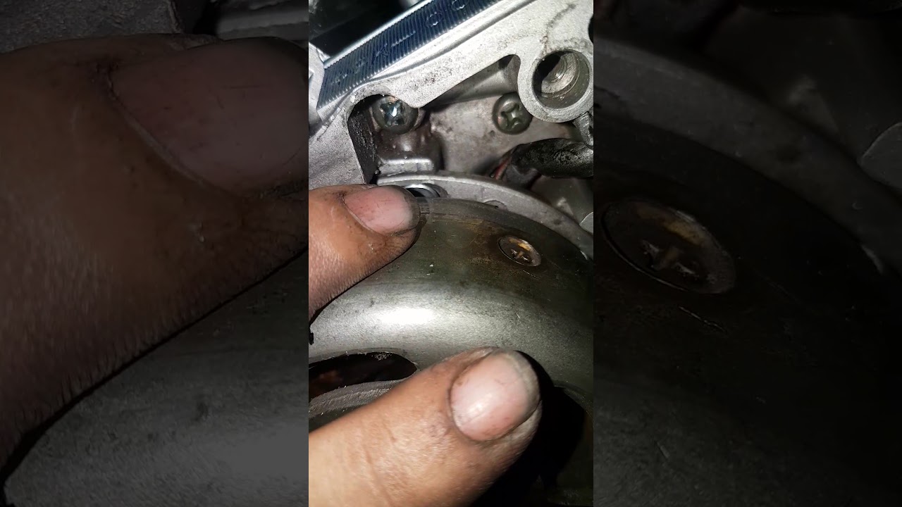 2 mostrandoles con hechos y medido como es el cuento
