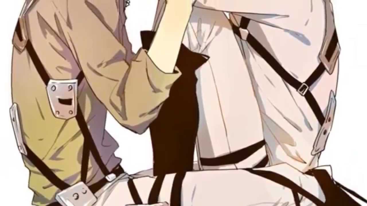 SNK/Attack on titan pairings themes