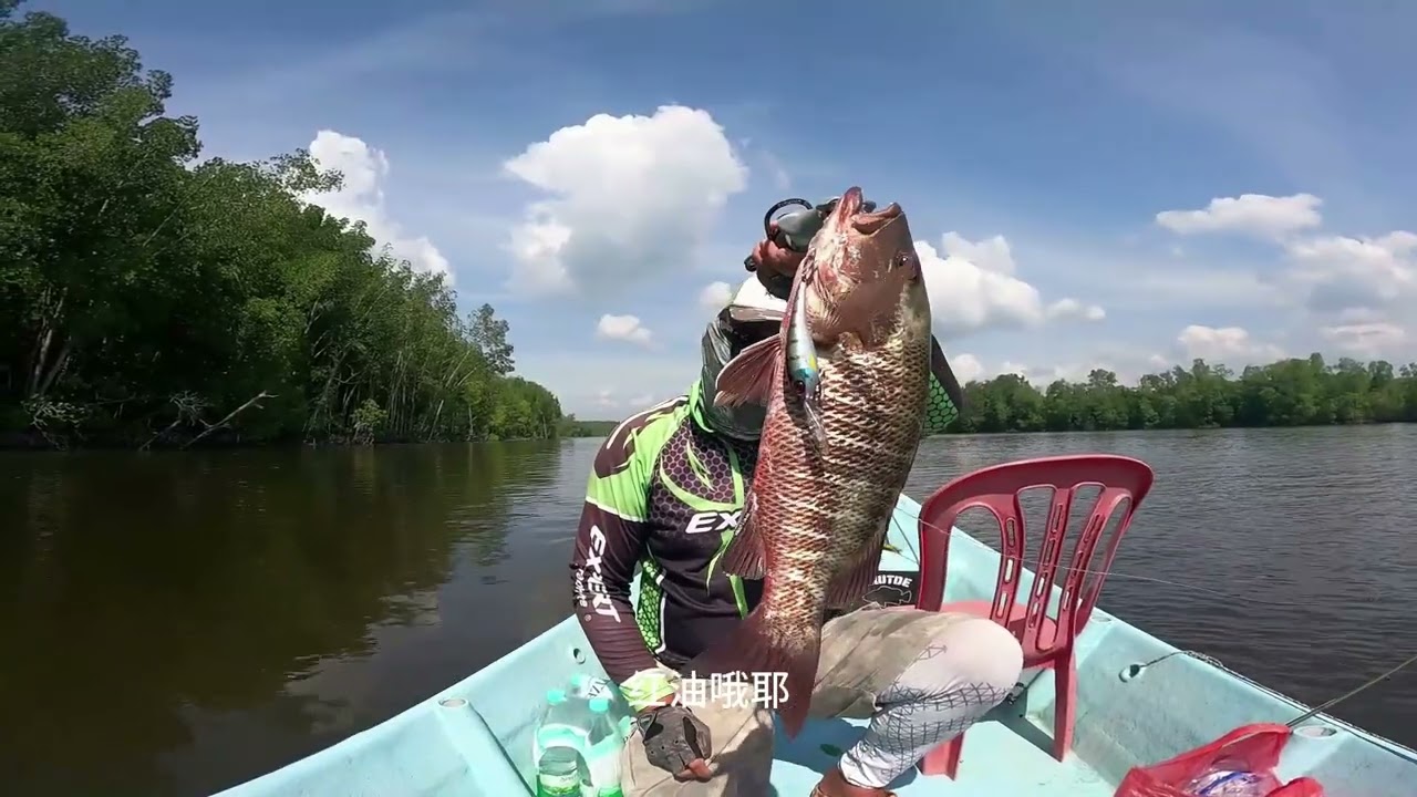 Рыбный рай. Видеоблог #204. Неожиданный сюрприз от рыбалки на приманку в мангровых зарослях.