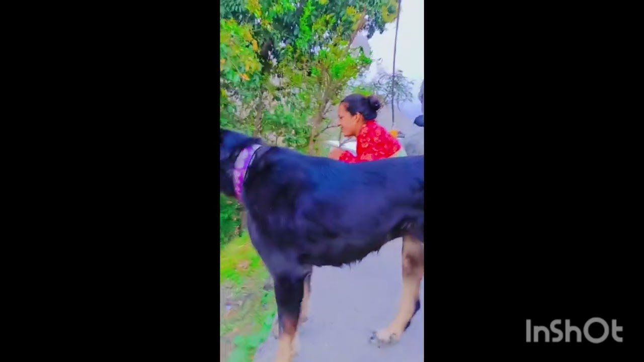 आज दीपा चाची ने काजू बादाम लगाए😂😂