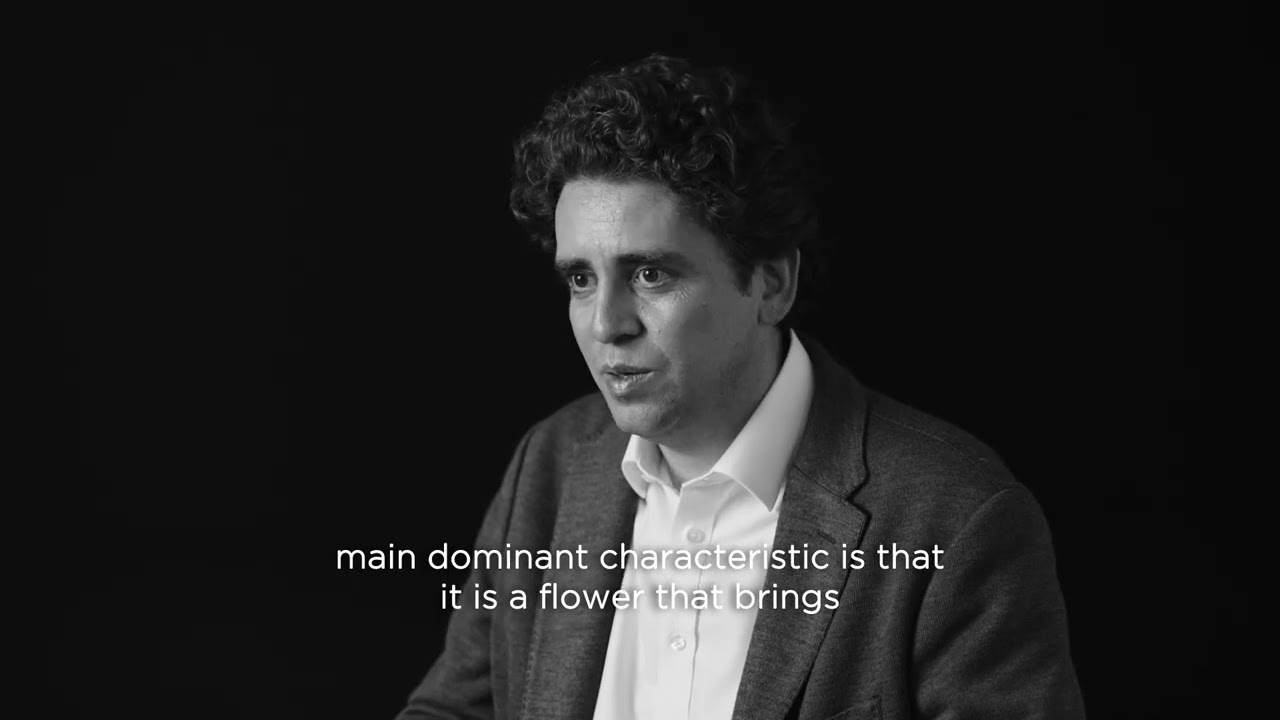 A conversation about Sequence, The Amouage Essence created by Julien Rasquinet