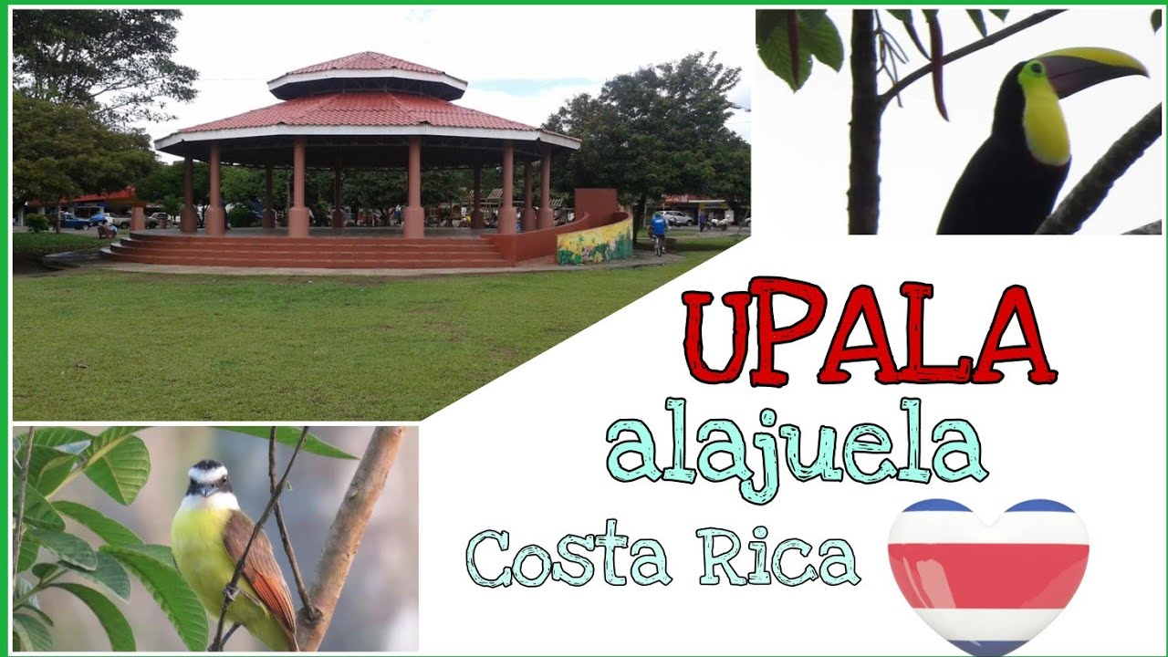 Upala,Alajuela  Costa Rica 😍