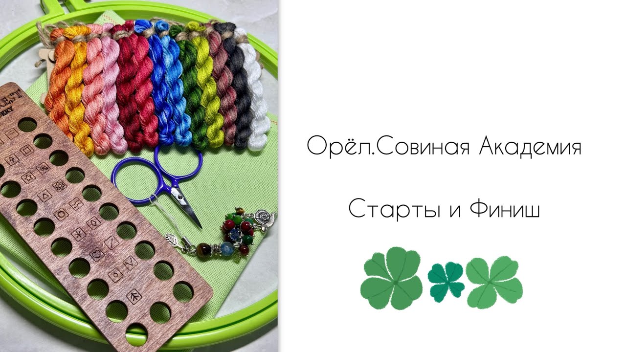 Орёл | Совиная академия | Старты и финиш