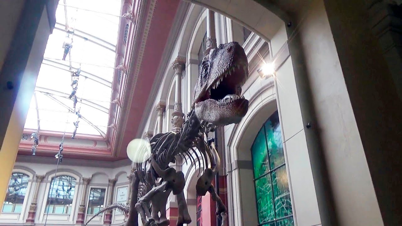 Берлинский Музей естествознания - Museum f&uuml;r Naturkunde.