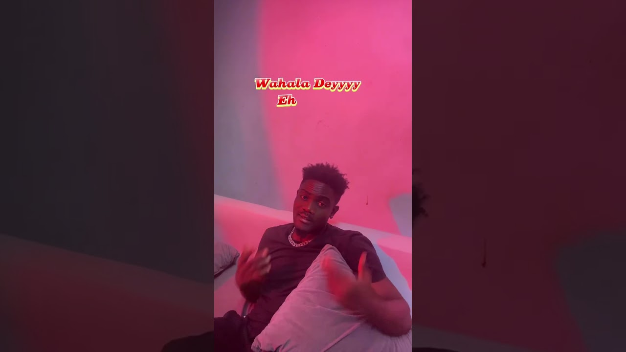 NiTwiT Out Now ❤️ Engage and share Seetizens 