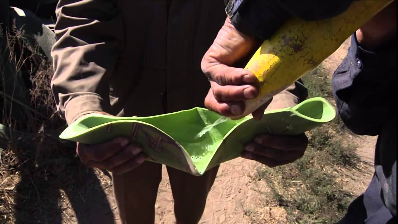 Agave is LIfe (Trailer)
