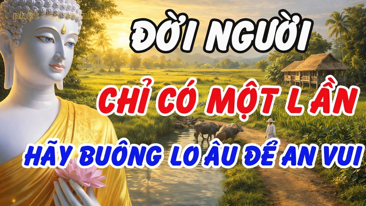 Phật Dạy: Đời Chỉ Có Một Lần – Buông Lo Âu, Sống Bình Thản Mới Thật An Vui | Phật Dạy An Nhiên