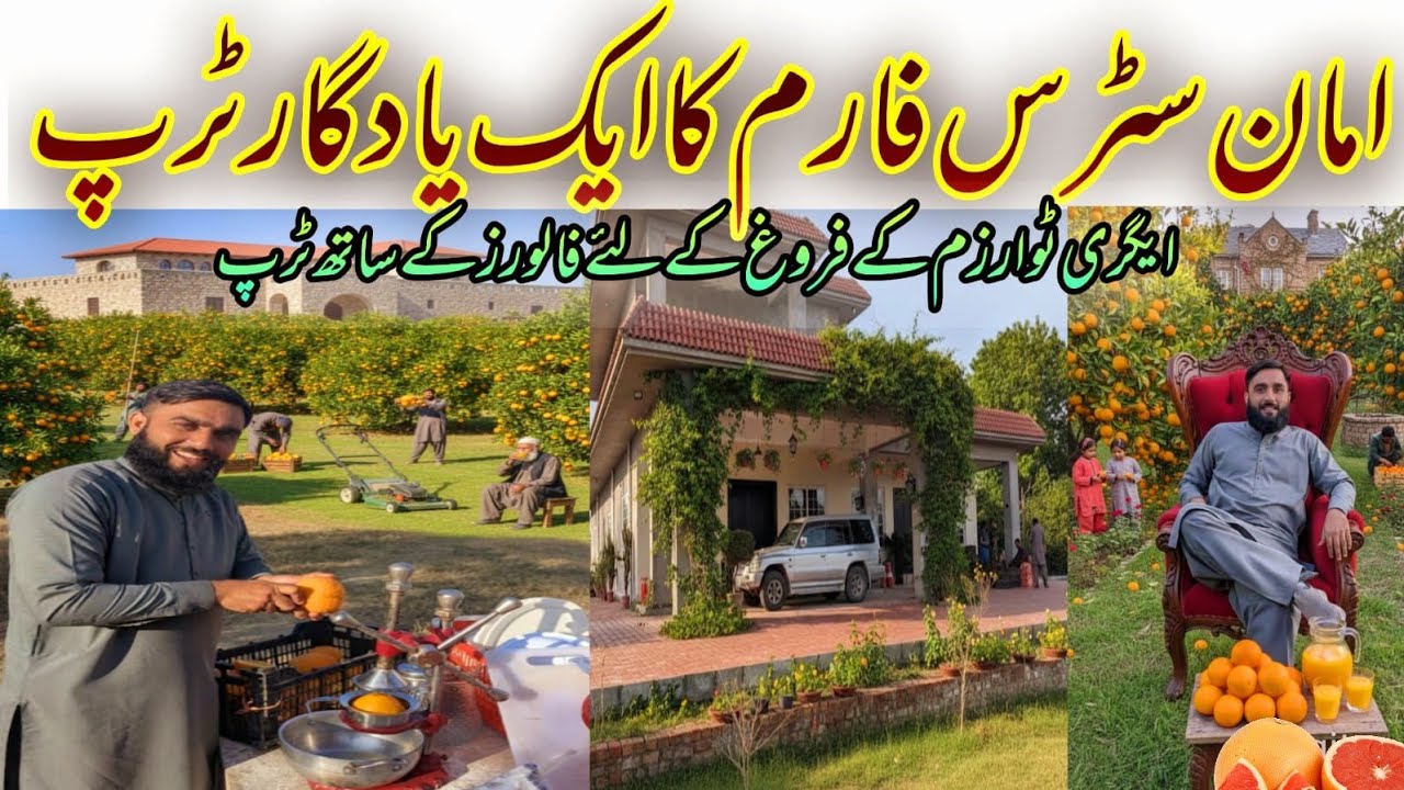 Agri Tourism in Pakistan 🇵🇰 | Farm Trip with Families | Kinnow, Blood Orange & Sweet Lime Experience