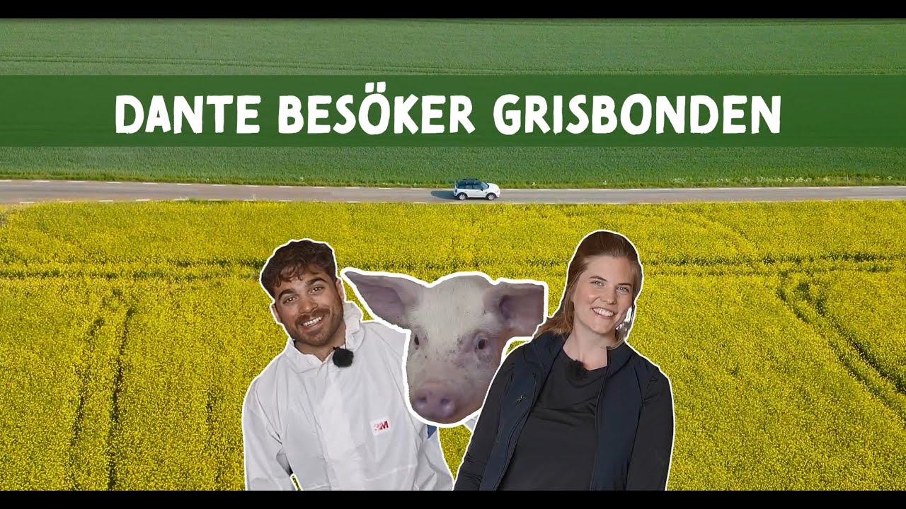 Dante besöker grisbonden Mimmi