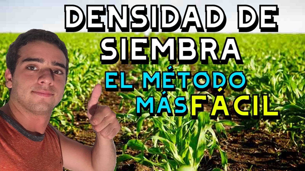 ¿COMO CALCULAR LA DENSIDAD DE SIEMBRA? ✏️🌱