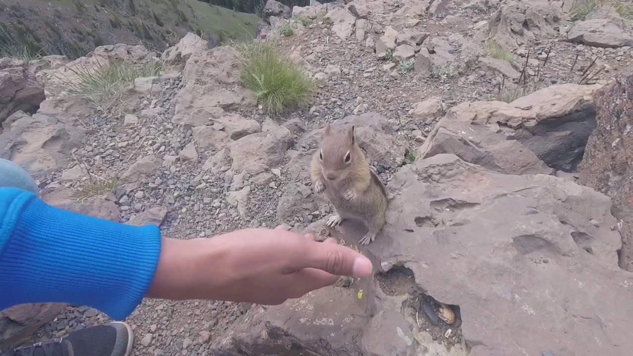 Mount Howard hiking adventure