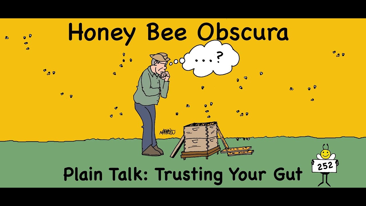 Plain Talk: Trusting Your Gut (252)